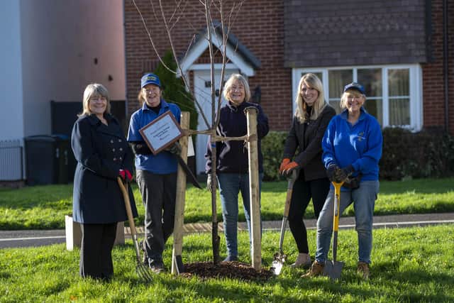 Angmering Grange wellbeing co-ordinator Natalie Taylor, second right, and receptionist Tracey Potts, left, with Angmering in Bloom chairman Julia Phelon, right, and volunteers Judith Ross, second left, and Kate Miller, third left. Picture: Liz Finlayson/Vervate