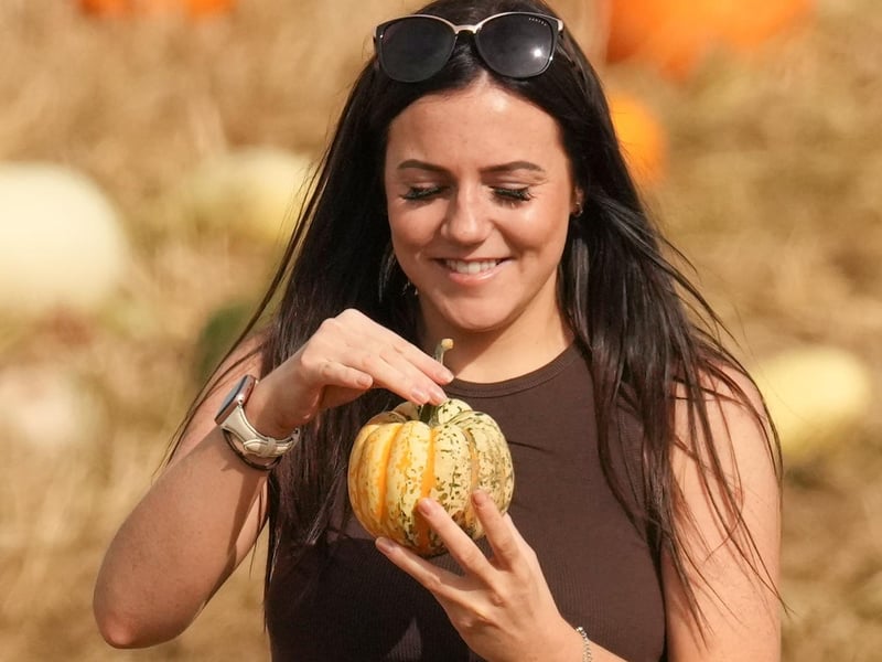 Based at Lychpole Farm just off the A27, family-run picking patch Sompting Pumpkins is open for business again this year. Picture: Eddie Mitchell