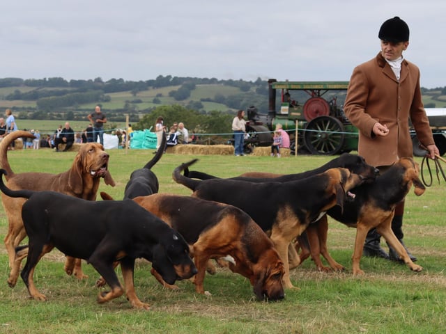 Rye and District Country Show