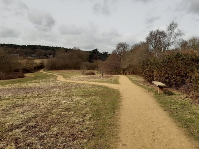 At the fork, take either path, as both lead around to the exit we need