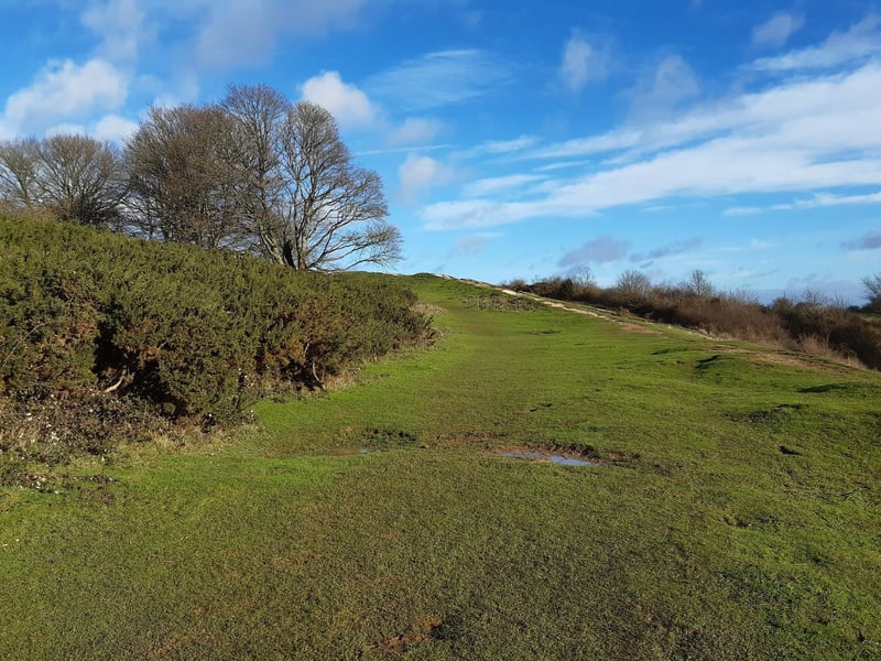 Continue round and enjoy the views over Worthing and out to sea.
