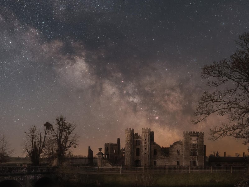 Cowdray Cosmos by Richard Murray