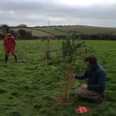 New trees being relocated in a new site by Richard and Spencer