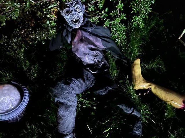 Something terrifying hiding in the bushes