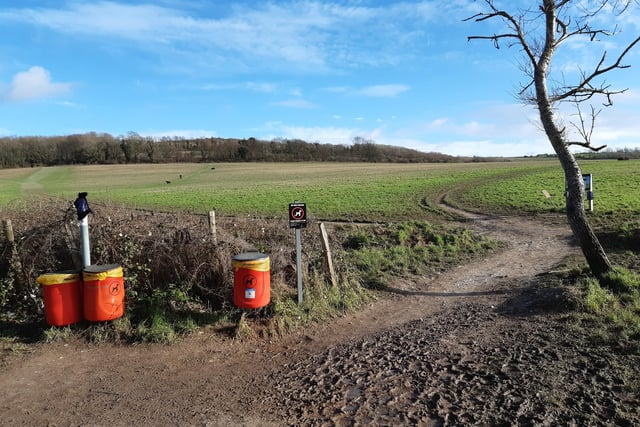 We are starting this walk at Storrington Rise car park, off the A24 in Findon Valley. Exit the car park at the top corner, where you will find a noticeboard with lots of interesting information. Do not follow the paths round the noticeboard, turn left as you leave the car park and follow the wide path directly up the hill towards the trees at the top.