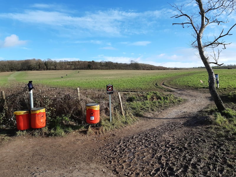 We are starting this walk at Storrington Rise car park, off the A24 in Findon Valley. Exit the car park at the top corner, where you will find a noticeboard with lots of interesting information. Do not follow the paths round the noticeboard, turn left as you leave the car park and follow the wide path directly up the hill towards the trees at the top.