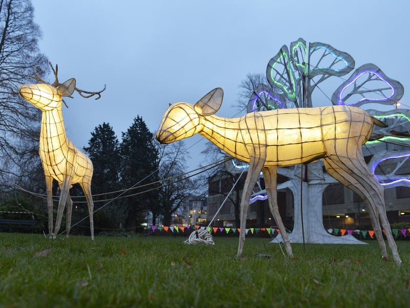 CHIME Parade and Christmas Tree Lights in Crawley, UK (Photo by Jon Rigby)