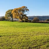 Campaigners from Don't Urbanise Hamsey are dismayed at a proposed development of 1,100 homes on 190 acres of open countryside north of Lewes