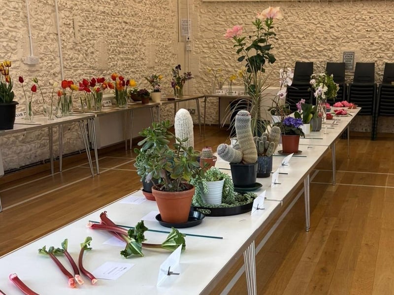 The spring show filled the Village Hall with colour and scent