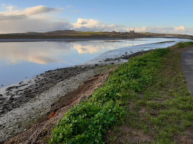 River Adur – Take a walk along the River Adur, either at Shoreham or Bramber. Enjoy the lovely views and look out for lots of different birds