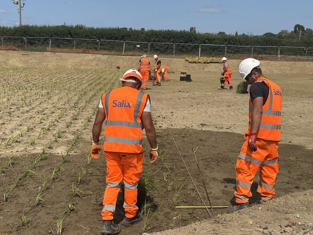 It takes a lot of work to plan a new wetland!