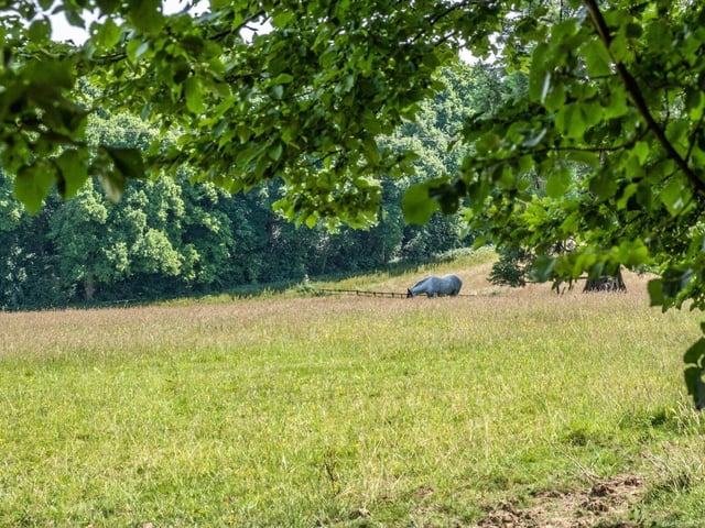 Cox Green, Rudgwick, Horsham, West Sussex RH12