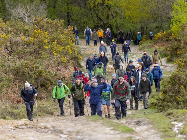 Walk in memory of James Adler