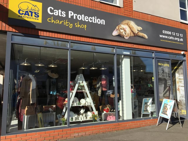 ‘Mindless criminals’ break into Eastbourne charity shop in ‘heart-breaking’ theft