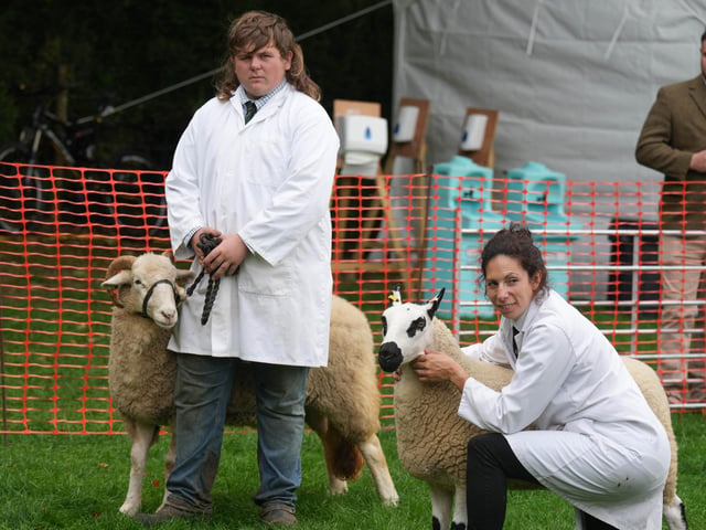 Findon Sheep Fair 2026