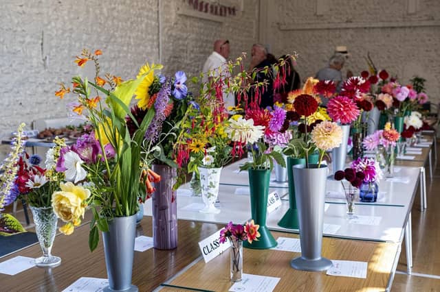 Colourful flower exhibits at the East Preston and Kingston Horticultural Society flower show
