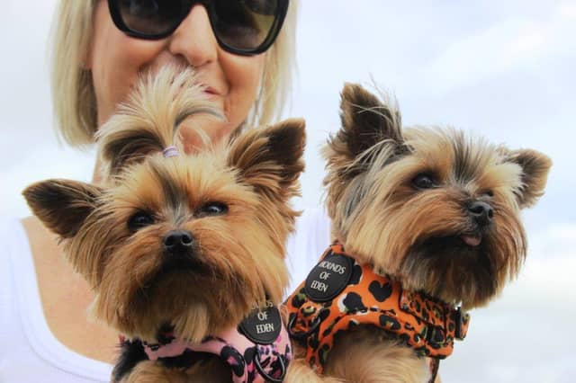 The combined features of the flower show, dog show and displays attracted many hundreds of visitors to the recreation ground