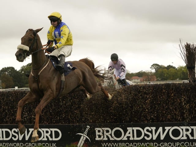 Fontwell Park jump racing action, October 2026
