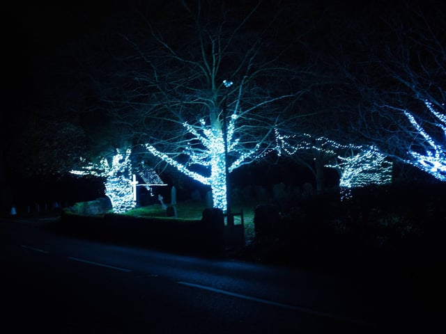 Westfield Christmas lights 2024. Photo by Frank Copper. The event this year has been scaled back significantly.