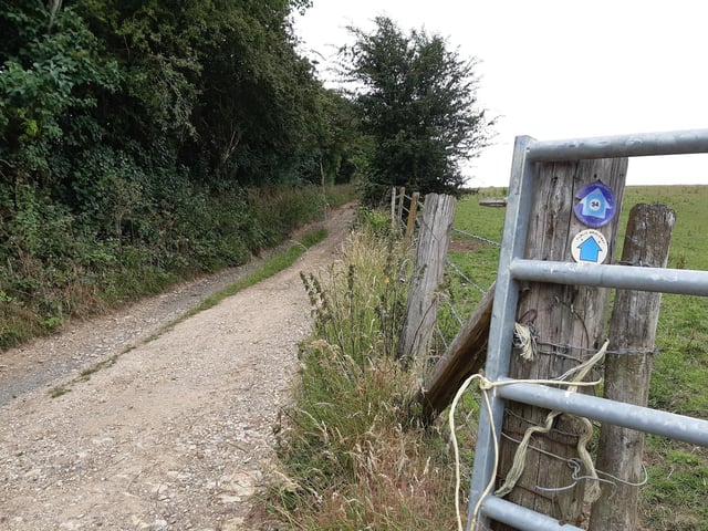 We are now going to follow the path up Sweet Hill. This is where I went wrong because I was enjoying it so much! Follow the obvious path like me - the Brighton and Hove Way cuts off goodness knows where!