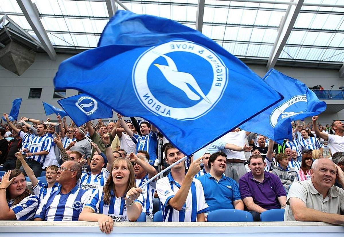 29 pictures of Brighton and Hove Albion fans watching their beloved team