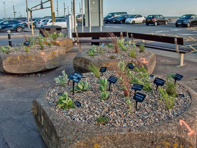 The We Dig Hastings project on the seafront