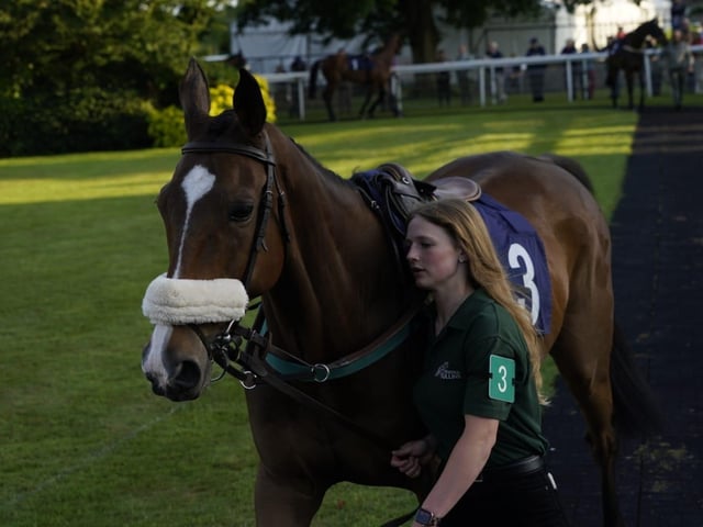 Evening racing at Fontwell Park, June 2025