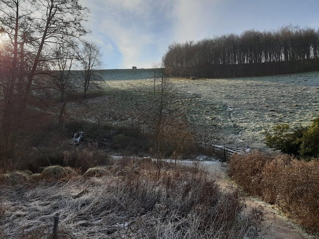 Or you can take the left path and come with us. You can just see the top of Hiorne Tower over the hill.