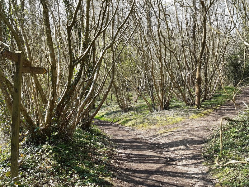 You will come to a junction with another footpath on your right but carry straight on here.