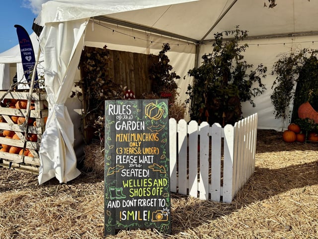 A popular pumpkin patch in Rogate has returned, with visitors invited to pick pumpkins and explore a range of autumn-themed activities.