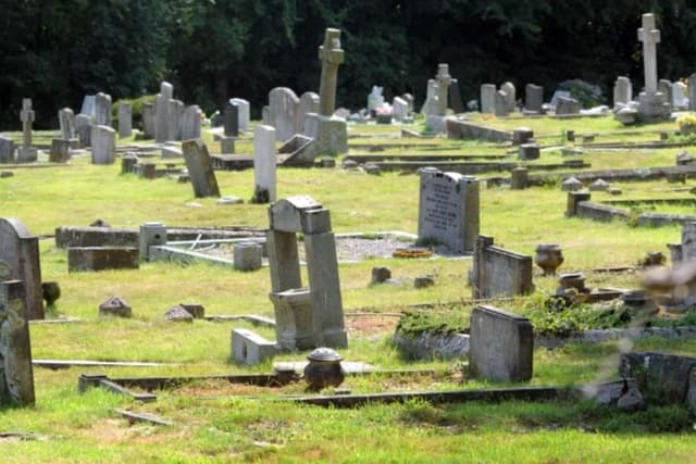 Man ordered to pay 'financial penalty' after car 'driven through' Rye ...