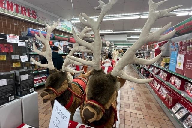 ESK Christmas display