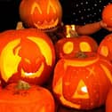 Decorative pumpkins left outside rot quickly, which produces mould that can be dangerous for dogs to eat. Photo: Iconic Media Group