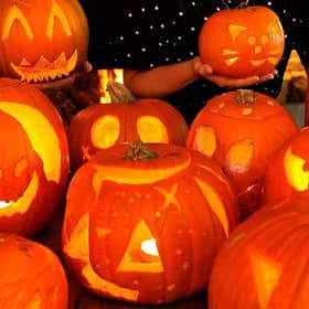 Decorative pumpkins left outside rot quickly, which produces mould that can be dangerous for dogs to eat. Photo: Iconic Media Group