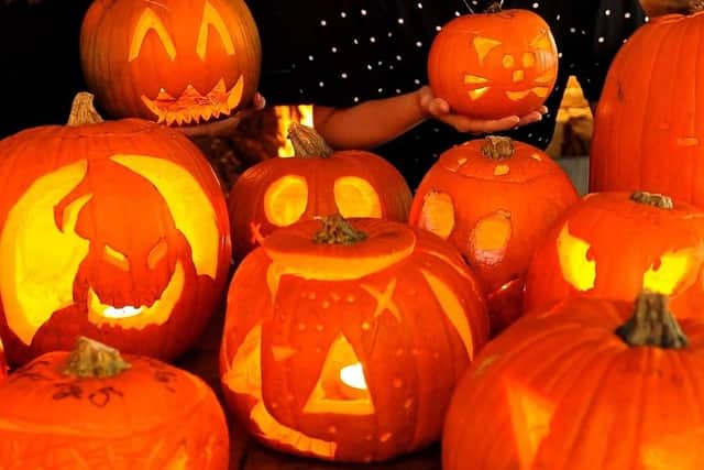 Decorative pumpkins left outside rot quickly, which produces mould that can be dangerous for dogs to eat. Photo: Iconic Media Group