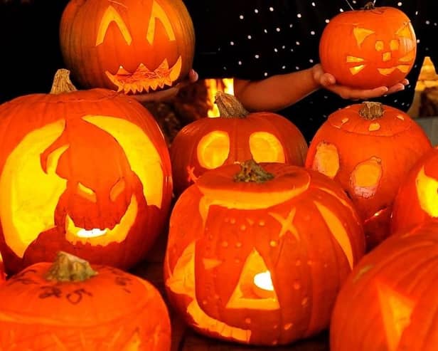 Decorative pumpkins left outside rot quickly, which produces mould that can be dangerous for dogs to eat. Photo: Iconic Media Group
