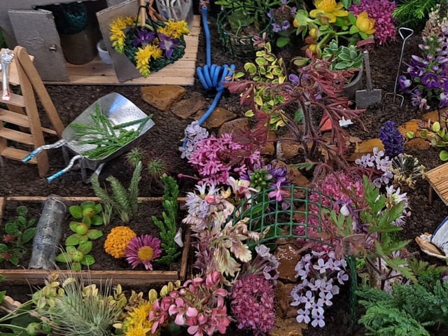 First prize winner for miniature garden