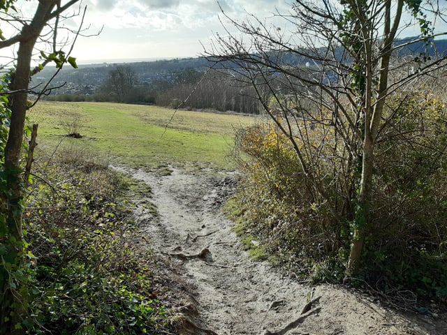 Once you are in the field, turn right to carry on down the hill.