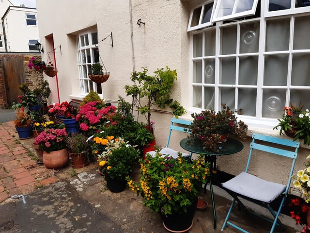 Floral splendour at Brunswick Cottages, a tiny courtyard of four fishermen's houses off the twitten that marks the historic boundary between Worthing and Heene