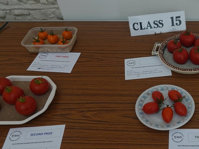 The best of the cherry tomatoes on display