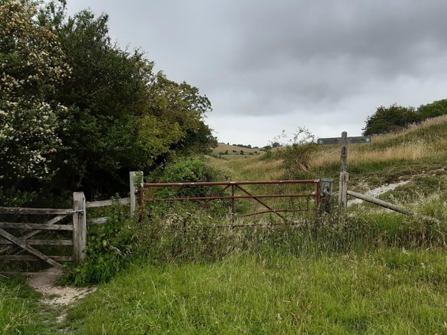 After this third gate, you start heading towards a shaded area of trees.