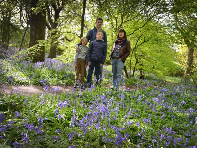 Arlington Bluebell Walk 2024. Photo taken on April 30.
