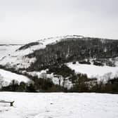 Devil’s Dyke in Sussex has been ranked as one of England’s best winter dog walks