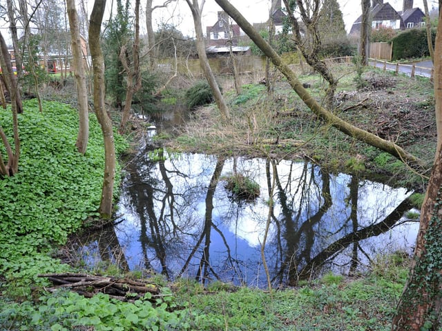 Wadhurst, East Sussex. Pic S Robards SR2303243