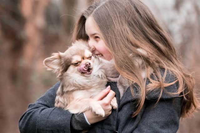Nearly half of dog owners would shun a date this Valentine’s Day in favour of a night in with the dog, new research shows. Photo: Rebecca Scholz from Pixabay