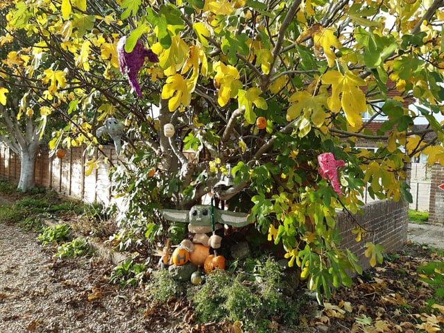Some of the super scarecrows created for the Ferring Scarecrow Festival 2022, raising money for 1st Ferring Scouting Group. Some have pumpkins displaying a letter, five in North Ferring and nine in South Ferring. Unscramble them to enter the prize draw. Trail maps available at Brown's Natural Pet store.