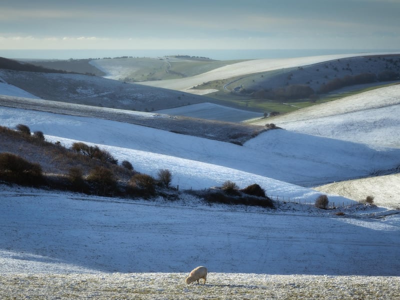 Swanborough Hill by Ian Brierley, another highly commended entry.