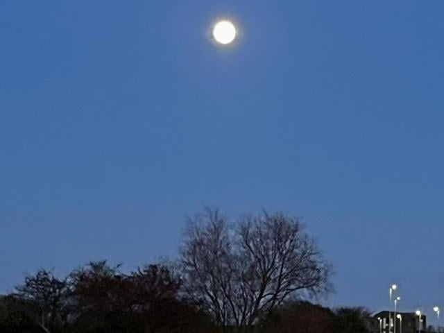 Photo by Drrappehs Heidi