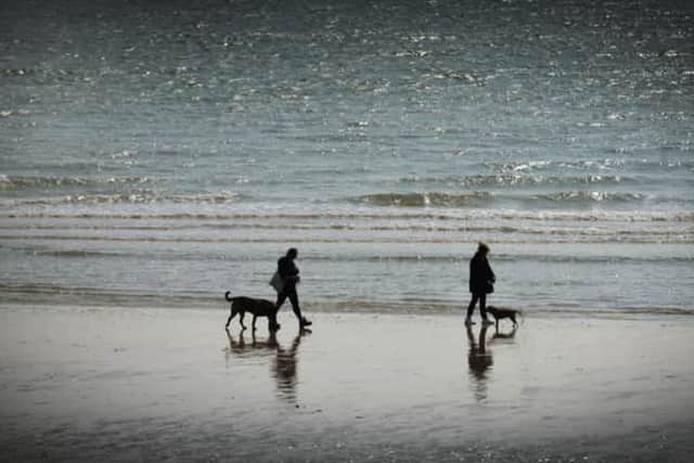 Dog walkers on the beach at St Leonards