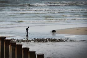 Dog walker on Eastbourne beach. Photo: staff